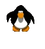 penguinGone penguinGone