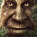 WiseTree WiseTree