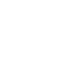 white_crown