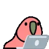 birddance birddance