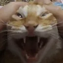 MY_INSANE_ASS_AAAAAAAA