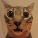 whar