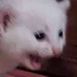 AHHH