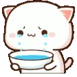 catCRY