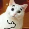 catthumbsup