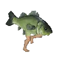 FishZoot