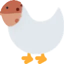 blopofak_jjjjj