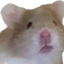 huh_wuh huh_wuh