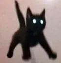 catfloat