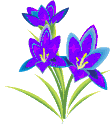 v2ce31b4aadf5a1f7f2a40482df9d647
