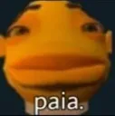 paia paia