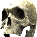 goofydungusmulungus99000
