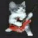 catguitar catguitar