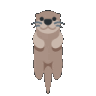 otterspin