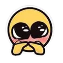 311380503_615252900370995_715092