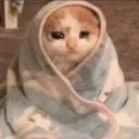 1y_comfysadcat Discord Emoji