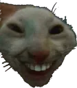 xd xd
