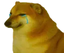 zz_1