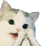 clapcat