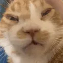 CE_ActualSuffering CE_ActualSuffering