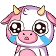 pinkCowcry