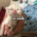 emoji_72