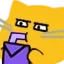 meow_sip_stare meow_sip_stare