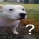 ayo