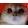 RAGEY