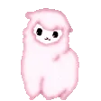 alpaca_dance