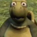 AYO
