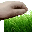 touchgrass