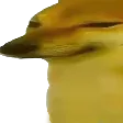 Dorime