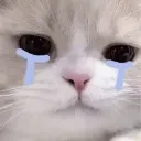 emoji_86