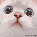 Cat Nani catnani Discord Emoji