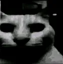 hell_nah