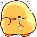 duck_cry duck_cry