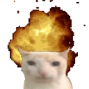 15_catexplosion