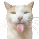 bz_blehhhhsilly