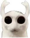 knightmarefuel