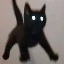 cat_scared