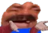 wdym