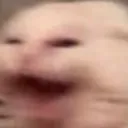 Pogcat pogcat Discord Emoji