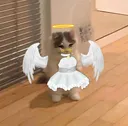 uwucatrealomgNAEEEEEE Discord Emoji