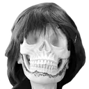 HaneSkull