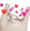 KChill_CatHearts Discord Emoji