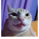 goober