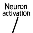 NeuronActivation