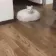 catroomba