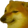 bonk